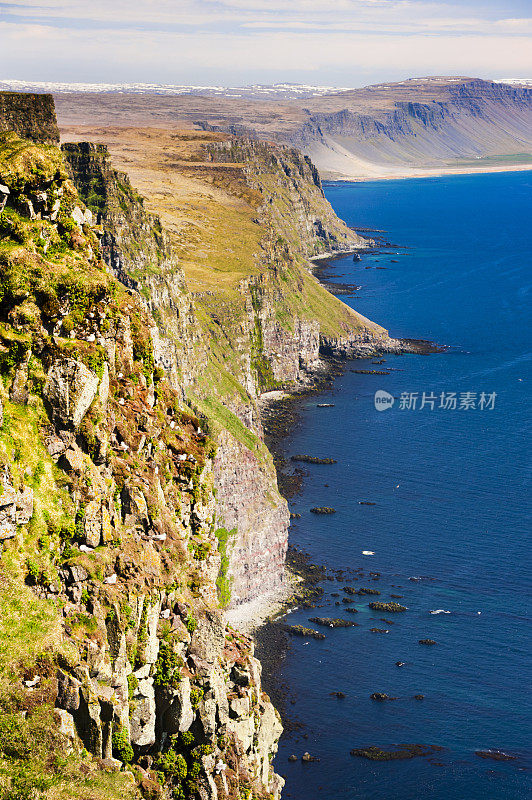 Latrabjarg, 冰岛